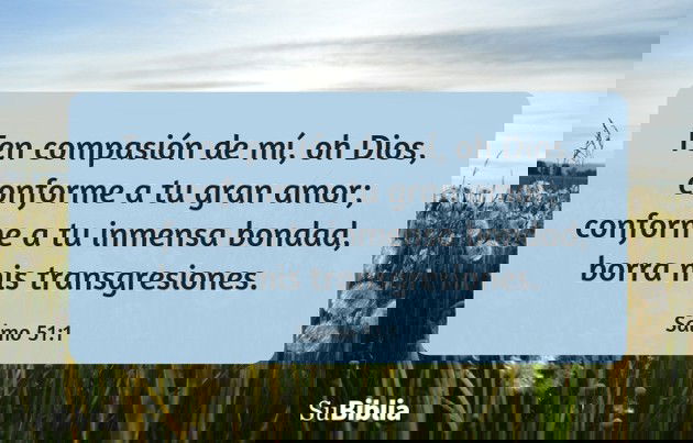 Ten compasión de mí, oh Dios, conforme a tu gran amor; conforme a tu inmensa bondad, borra mis transgresiones. (Salmo 51:1)