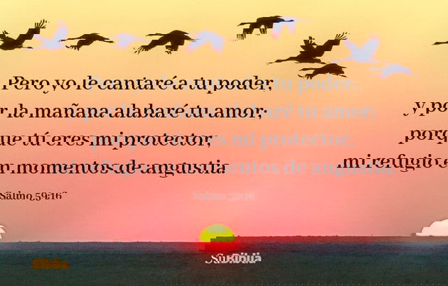 Pero yo le cantaré a tu poder, y por la mañana alabaré tu amor; porque tú eres mi protector, mi refugio en momentos de angustia. (Salmo 59:16)