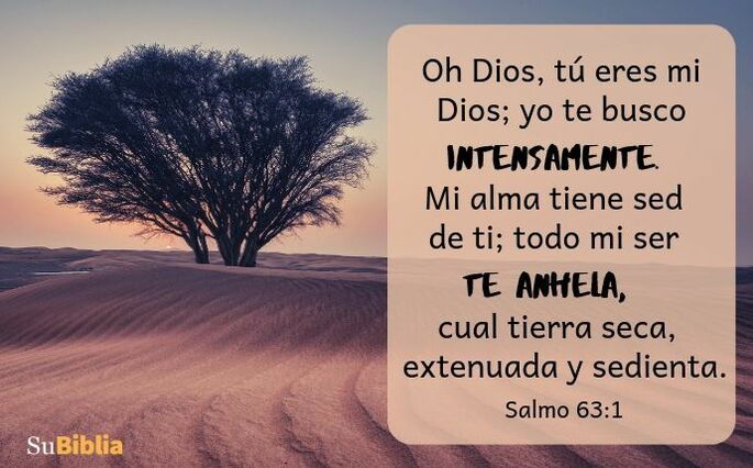 Oh Dios, tú eres mi Dios; yo te busco intensamente. Mi alma tiene sed de ti; todo mi ser te anhela, cual tierra seca, sedienta y sin agua. (Salmo 63:1)