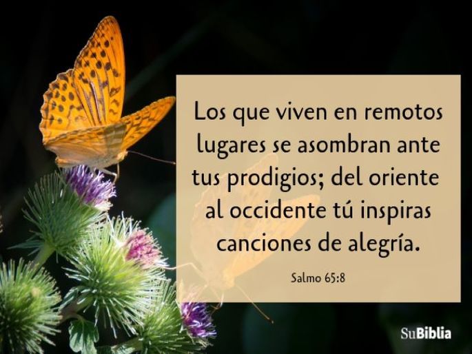 24 Salmos Con Mensajes De Buenos Días - Biblia