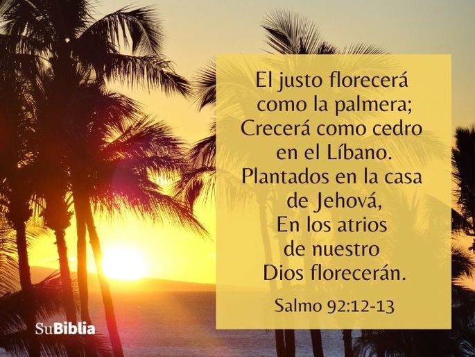 El justo florecerá como la palmera; Crecerá como cedro en el Líbano. Plantados en la casa de Jehová, En los atrios de nuestro Dios florecerán. (Salmo 92:12-13)