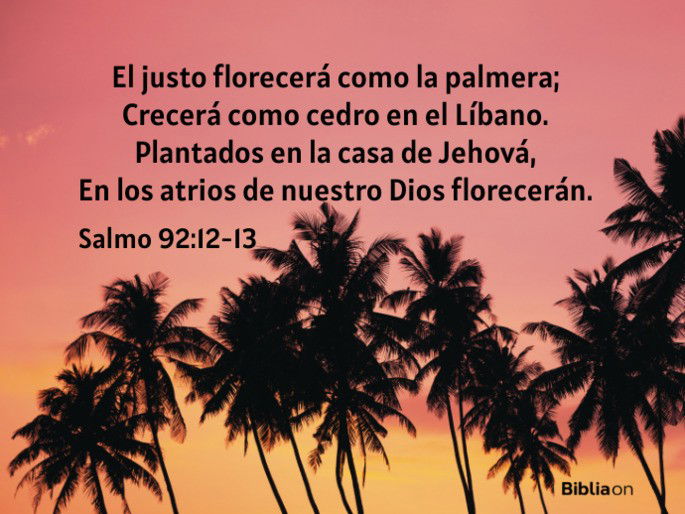 El justo florecerá como la palmera; Crecerá como cedro en el Líbano. Plantados en la casa de Jehová, En los atrios de nuestro Dios florecerán. (Salmo 92:12-13)