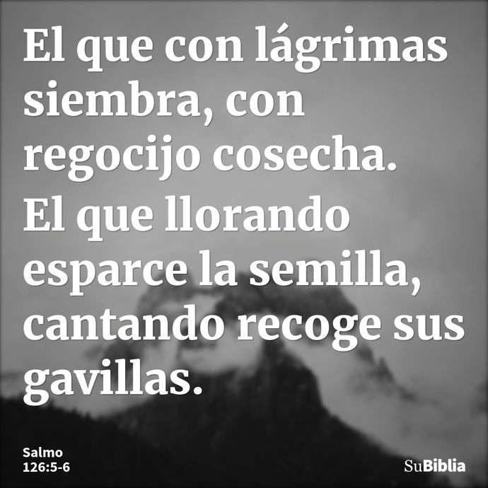 El que con lágrimas siembra, con regocijo cosecha. El que llorando esparce la semilla, cantando recoge sus gavillas. --- Salmo 126:5