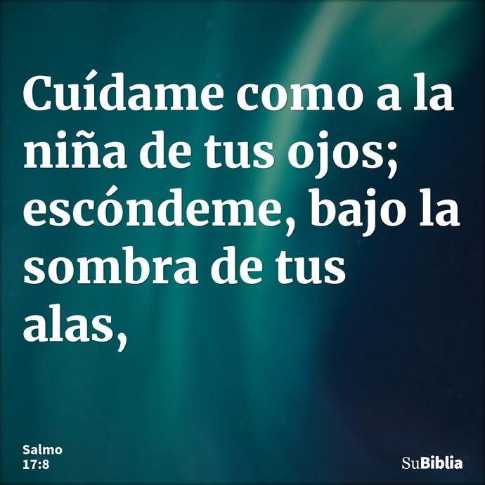 Cuídame como a la niña de tus ojos; escóndeme, bajo la sombra de tus alas, --- Salmo 17:8