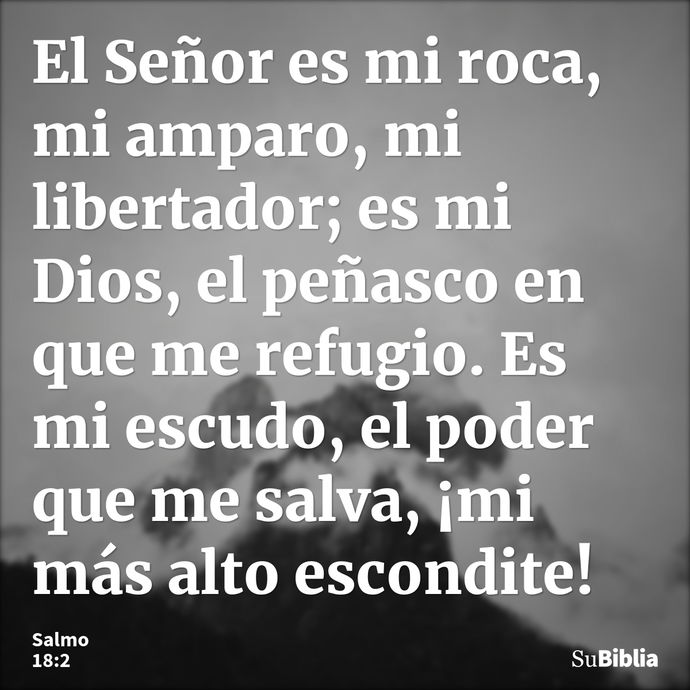 El Señor es mi roca, mi amparo, mi libertador; es mi Dios, el peñasco en que me refugio. Es mi escudo, el poder que me salva, ¡mi más alto escondite! --- Salmo 18:2