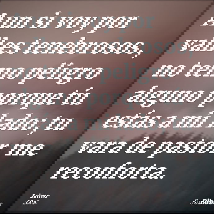 Aun si voy por valles tenebrosos, no temo peligro alguno porque tú estás a mi lado; tu vara de pastor me reconforta. --- Salmo 23:4
