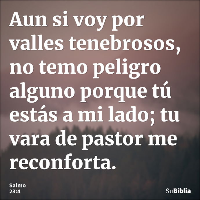 Aun si voy por valles tenebrosos, no temo peligro alguno porque tú estás a mi lado; tu vara de pastor me reconforta. --- Salmo 23:4