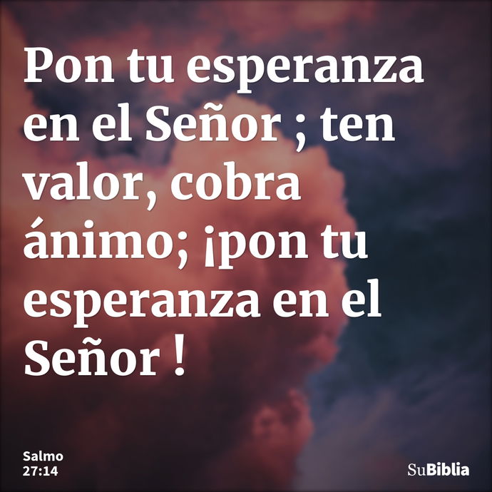 Pon tu esperanza en el Señor ; ten valor, cobra ánimo; ¡pon tu esperanza en el Señor ! --- Salmo 27:14