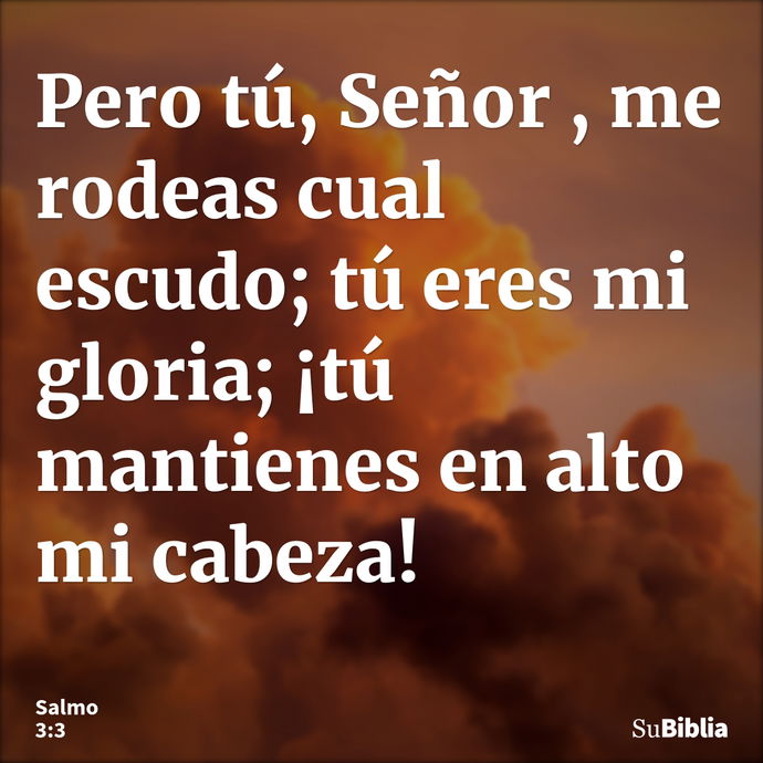 Pero tú, Señor , me rodeas cual escudo; tú eres mi gloria; ¡tú mantienes en alto mi cabeza! --- Salmo 3:3