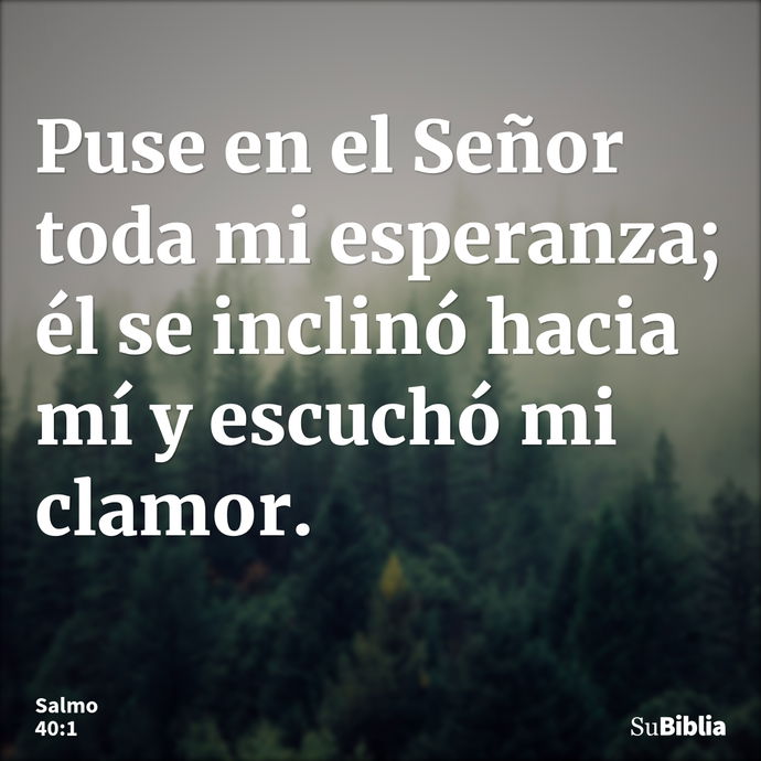 Puse en el Señor toda mi esperanza; él se inclinó hacia mí y escuchó mi clamor. --- Salmo 40:1