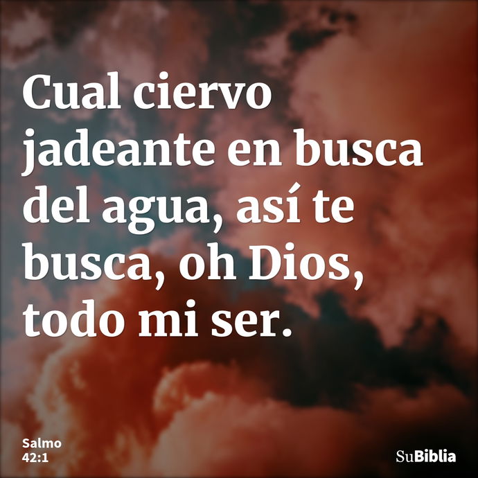 Cual ciervo jadeante en busca del agua, así te busca, oh Dios, todo mi ser. --- Salmo 42:1