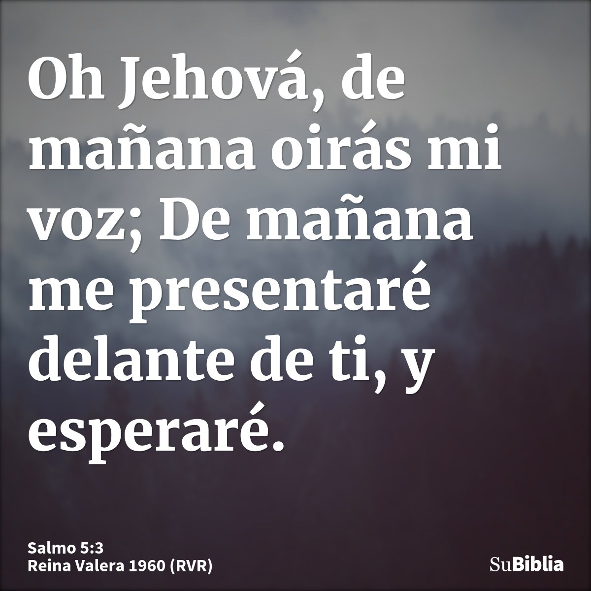 Oh Jehová, de mañana oirás mi voz; De mañana me presentaré delante de ti, y esperaré.