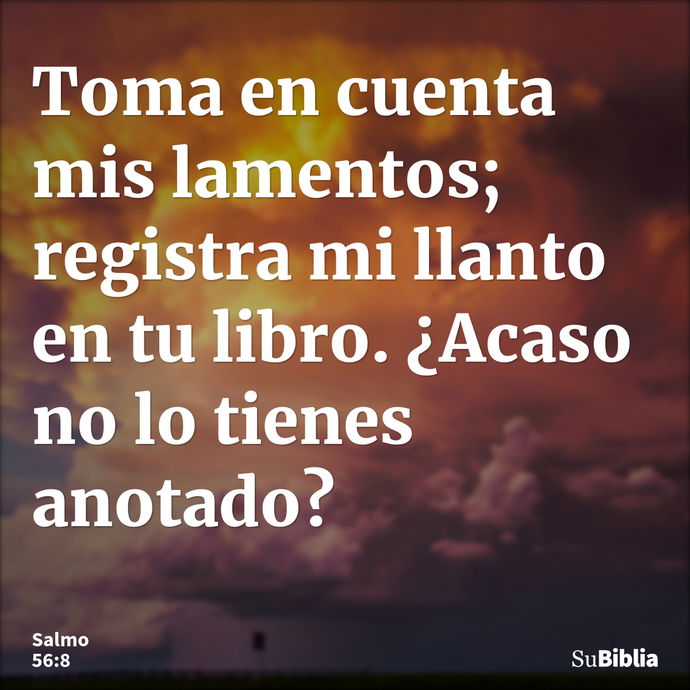 Toma en cuenta mis lamentos; registra mi llanto en tu libro. ¿Acaso no lo tienes anotado? --- Salmo 56:8