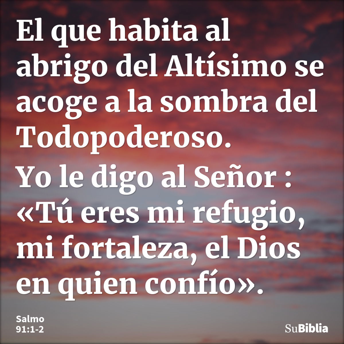 Biblia salmo91 on sale