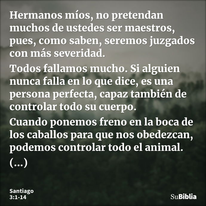 Hermanos míos, no pretendan muchos de ustedes ser maestros, pues, como saben, seremos juzgados con más severidad. Todos fallamos mucho. Si alguien nunca falla e... --- Santiago 3:1