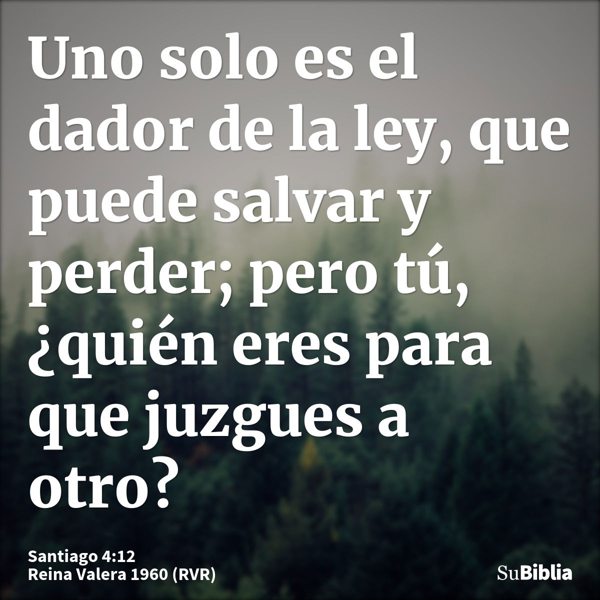 Uno solo es el dador de la ley, que puede salvar y perder; pero tú, ¿quién eres para que juzgues a otro?