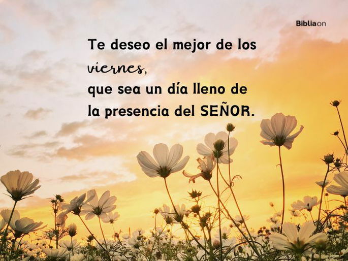 Te deseo el mejor de los viernes, que sea un día lleno de la presencia del Señor.