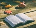 111 versículos bíblicos con imágenes para compartir