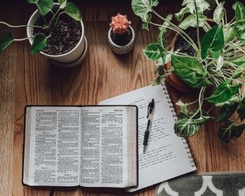 32 versículos bíblicos cortos y lo que significan