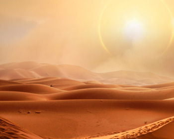 19 versículos sobre el desierto