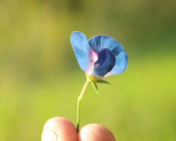 13 versículos sobre no desear el mal y hacer el bien