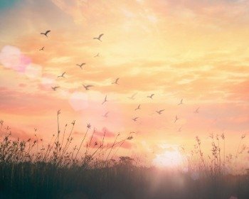 17 versículos sobre la vida (un regalo de Dios)