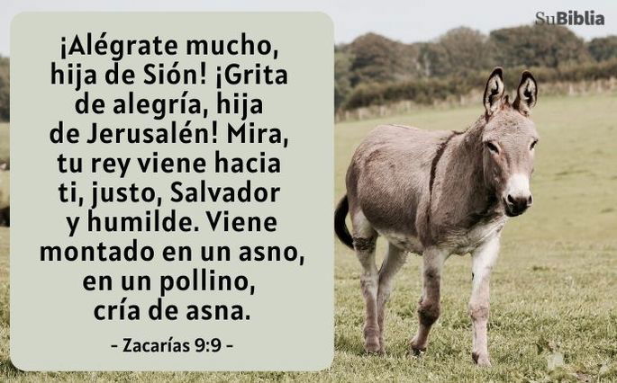Zacarías 9:9