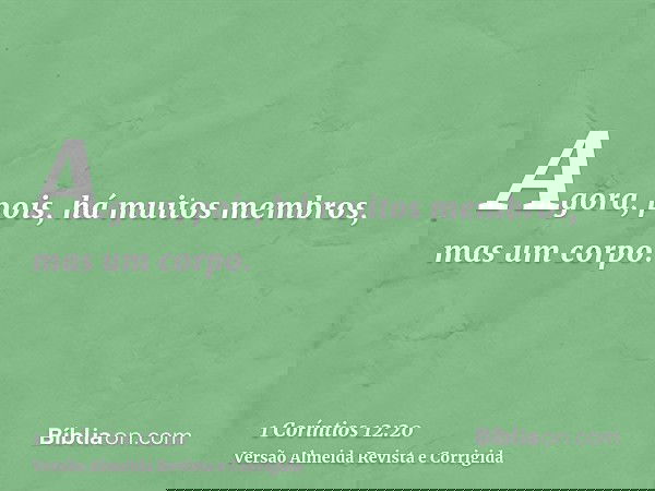 Agora, pois, há muitos membros, mas um corpo.