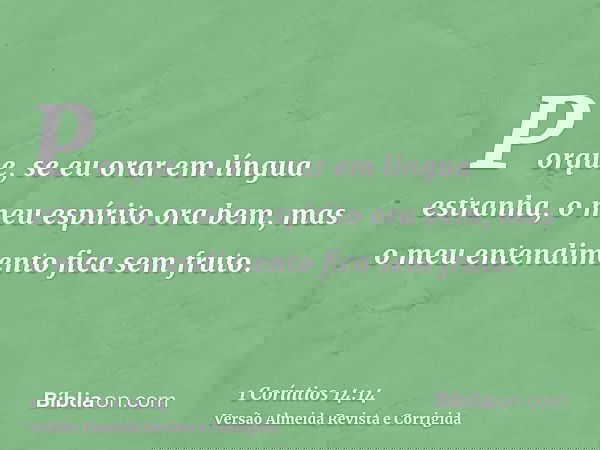 Porque, se eu orar em língua estranha, o meu espírito ora bem, mas o meu entendimento fica sem fruto.