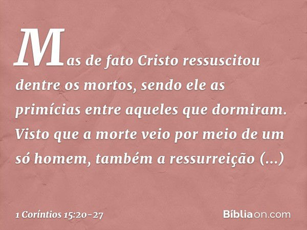 Mas de fato Cristo ressuscitou dentre os mortos, sendo ele as primícias entre aqueles que dormiram. Visto que a morte veio por meio de um só homem, também a res