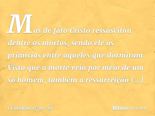 1 Coríntios 15:20-28 - Bíblia