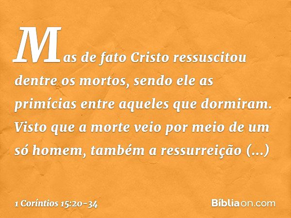 Mas de fato Cristo ressuscitou dentre os mortos, sendo ele as primícias entre aqueles que dormiram. Visto que a morte veio por meio de um só homem, também a res