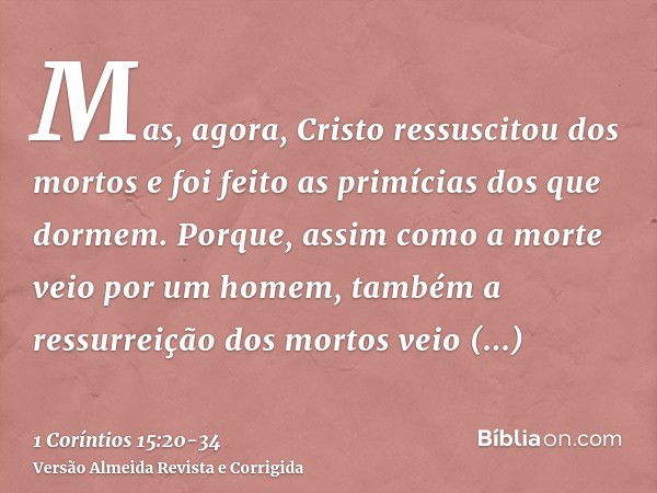 Mas, agora, Cristo ressuscitou dos mortos e foi feito as primícias dos que dormem.Porque, assim como a morte veio por um homem, também a ressurreição dos mortos