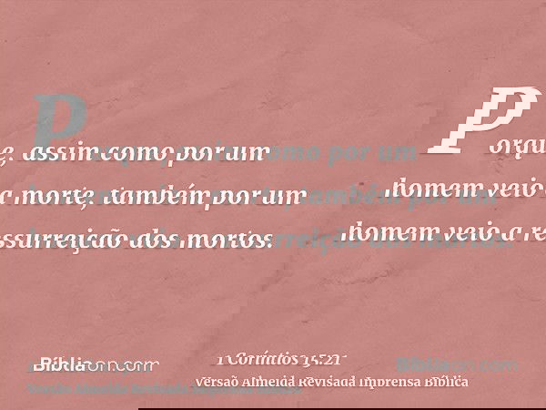 Porque, assim como por um homem veio a morte, também por um homem veio a ressurreição dos mortos.