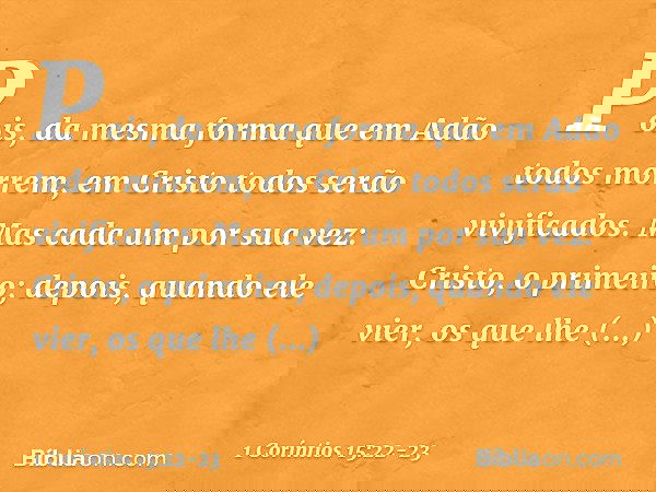 Pois, da mesma forma que em Adão todos morrem, em Cristo todos serão vivificados. Mas cada um por sua vez: Cristo, o primeiro; depois, quando ele vier, os que l