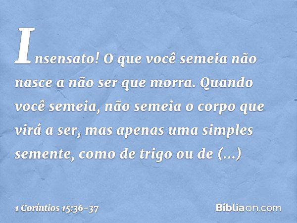 Insensato! O que você semeia não nasce a não ser que morra. Quando você semeia, não semeia o corpo que virá a ser, mas apenas uma simples semente, como de trigo