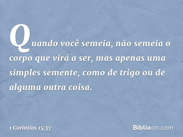 Quando você semeia, não semeia o corpo que virá a ser, mas apenas uma simples semente, como de trigo ou de alguma outra coisa. -- 1 Coríntios 15:37