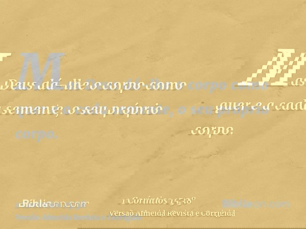 Mas Deus dá-lhe o corpo como quer e a cada semente, o seu próprio corpo.