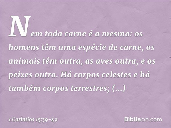 Nem toda carne é a mesma: os homens têm uma espécie de carne, os animais têm outra, as aves outra, e os peixes outra. Há corpos celestes e há também corpos terr