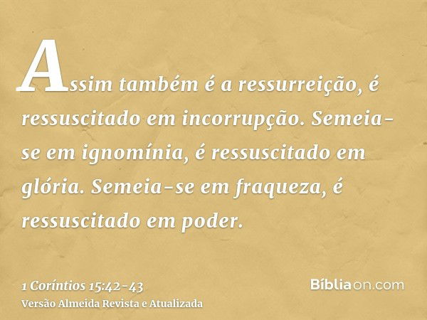 Assim também é a ressurreição, é ressuscitado em incorrupção.Semeia-se em ignomínia, é ressuscitado em glória. Semeia-se em fraqueza, é ressuscitado em poder.