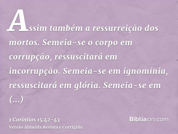 Assim também a ressurreição dos mortos. Semeia-se o corpo em corrupção, ressuscitará em incorrupção.Semeia-se em ignomínia, ressuscitará em glória. Semeia-se em