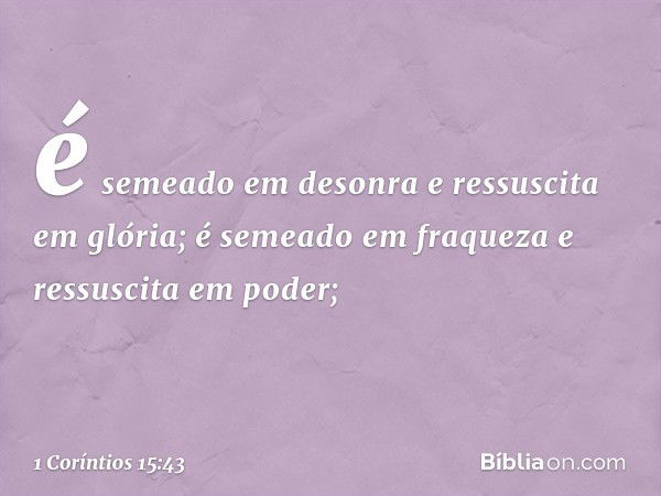 é semeado em desonra e ressuscita em glória; é semeado em fraqueza e ressuscita em poder; -- 1 Coríntios 15:43