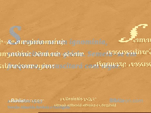 Semeia-se em ignomínia, ressuscitará em glória. Semeia-se em fraqueza, ressuscitará com vigor.