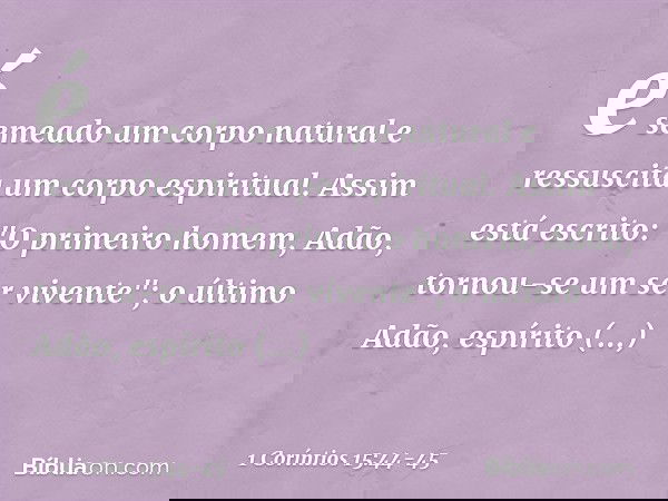 é semeado um corpo natural e ressuscita um corpo espiritual.
Se há corpo natural, há também corpo espiritual. Assim está escrito: "O primeiro homem, Adão, torno
