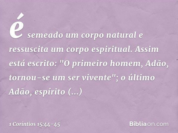 é semeado um corpo natural e ressuscita um corpo espiritual.
Se há corpo natural, há também corpo espiritual. Assim está escrito: "O primeiro homem, Adão, torno