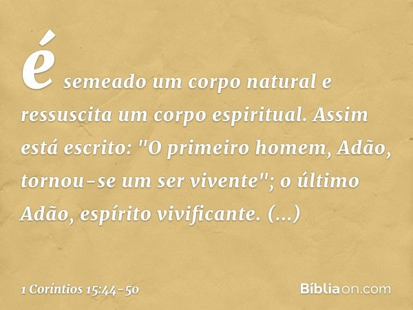 é semeado um corpo natural e ressuscita um corpo espiritual.
Se há corpo natural, há também corpo espiritual. Assim está escrito: "O primeiro homem, Adão, torno