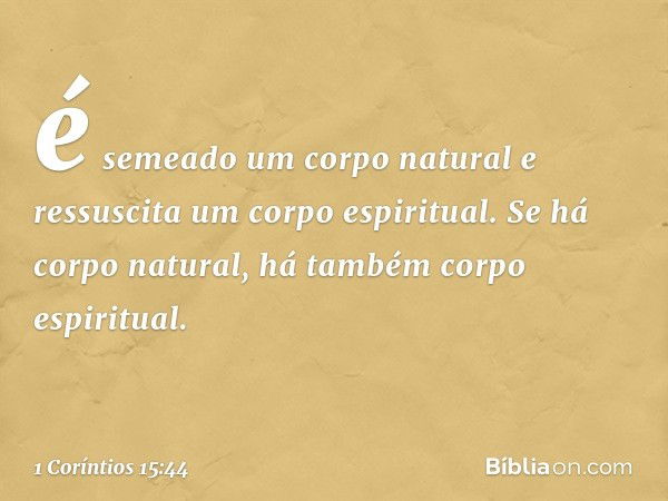 é semeado um corpo natural e ressuscita um corpo espiritual.
Se há corpo natural, há também corpo espiritual. -- 1 Coríntios 15:44