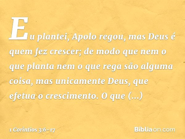 Eu plantei, Apolo regou, mas Deus é quem fez crescer; de modo que nem o que planta nem o que rega são alguma coisa, mas unicamente Deus, que efetua o cresciment