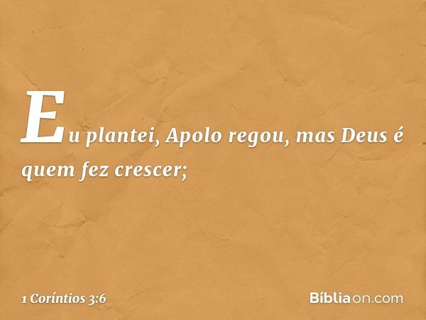 Eu plantei, Apolo regou, mas Deus é quem fez crescer; -- 1 Coríntios 3:6