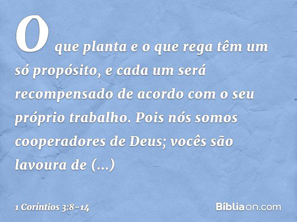 O que planta e o que rega têm um só propósito, e cada um será recompensado de acordo com o seu próprio trabalho. Pois nós somos cooperadores de Deus; vocês são 